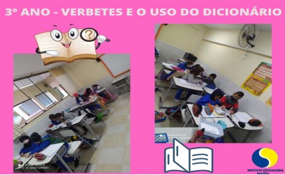 VERBETES E O USO DO DICIONÁRIO